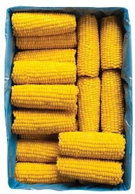 Kukuřice - celé klasy 10kg
