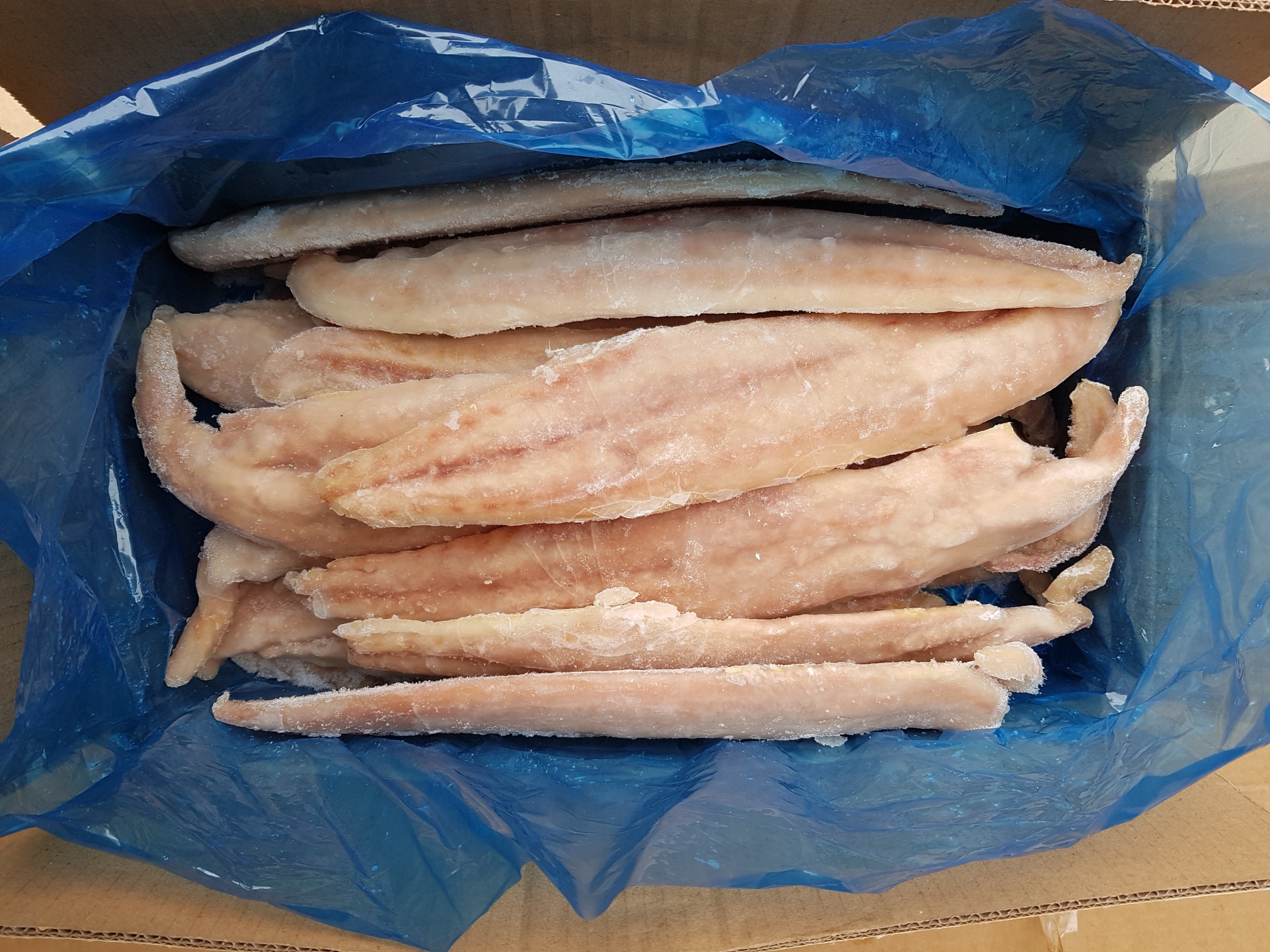 Mahi Mahi filet bez kůže IQF 5kg
