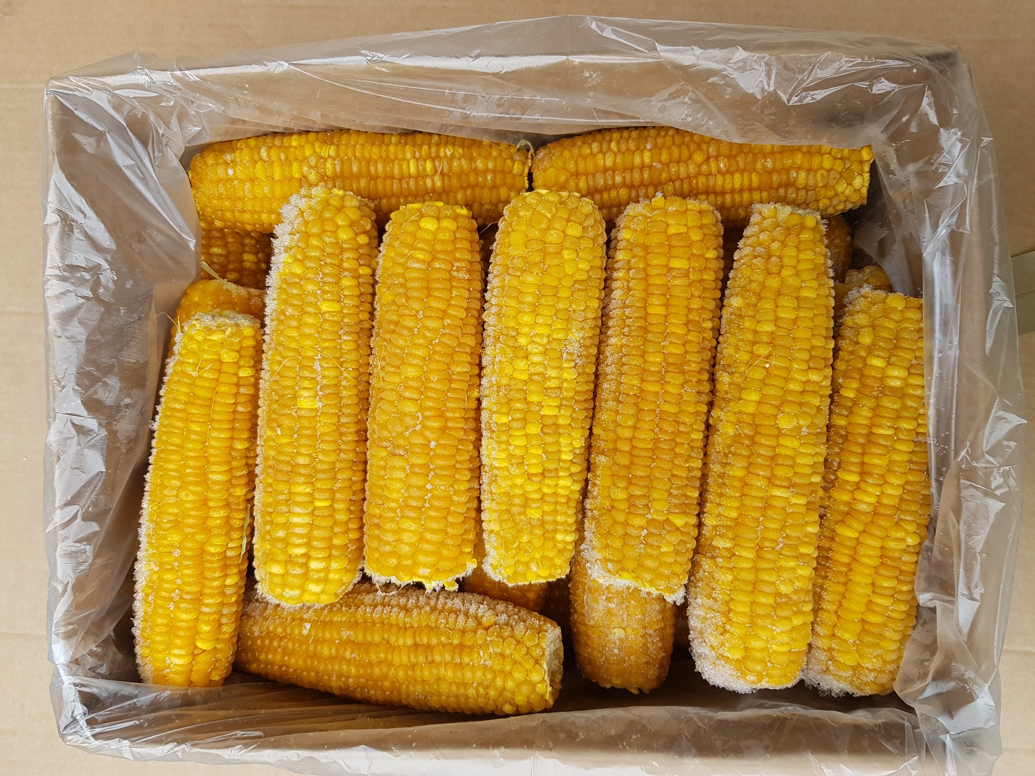 Kukuřice - celé klasy 10kg