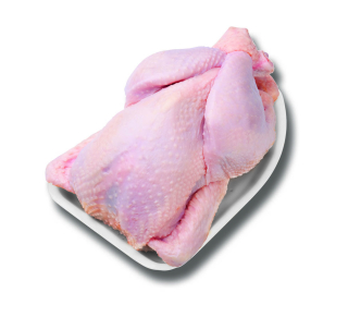 Slepice těžká 3,2kg